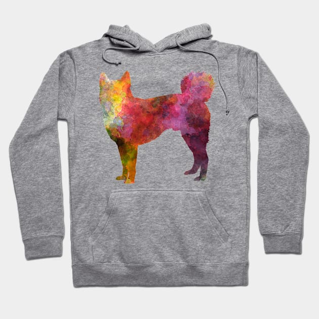 Shikoku in watercolor Hoodie by PaulrommerArt